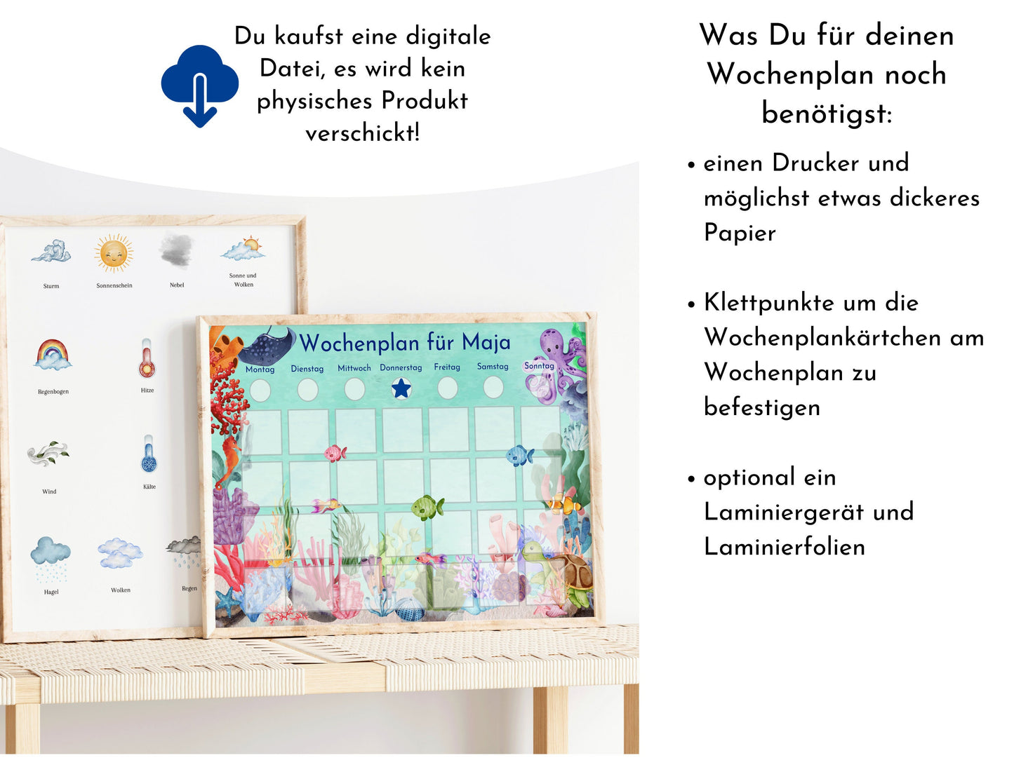 Wochenplan für Kinder mit 288 Routinekarten, PDF Sofort-Download, Routineplan "Korallenriff mit Schildkröte und Rochen"