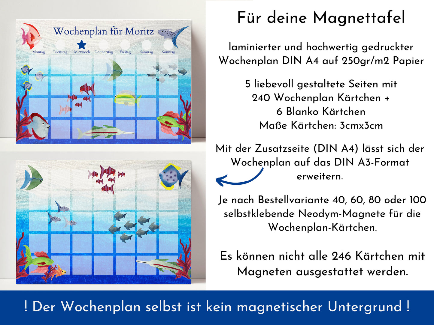 Magnetboard Wochenplan "Aquarium" personalisiert für Kinder, Tagesplan mit 246 Routine Karten, Magnete, Routineplan Ölpastell Aquarell